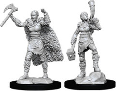 Human Barbarian Female (Nolzur's - W12)